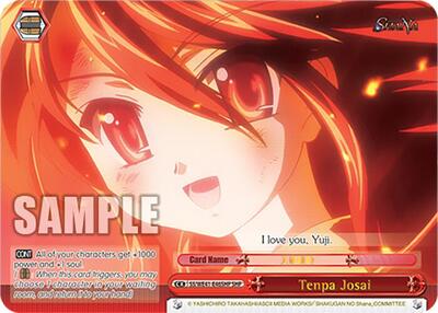 Tenpa Josai SS/WE41-E46SHP SHP