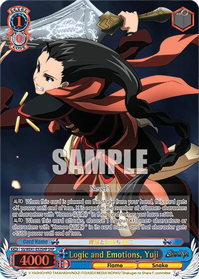 Logic and Emotions, Yuji SS/WE41-E52SHP SHP