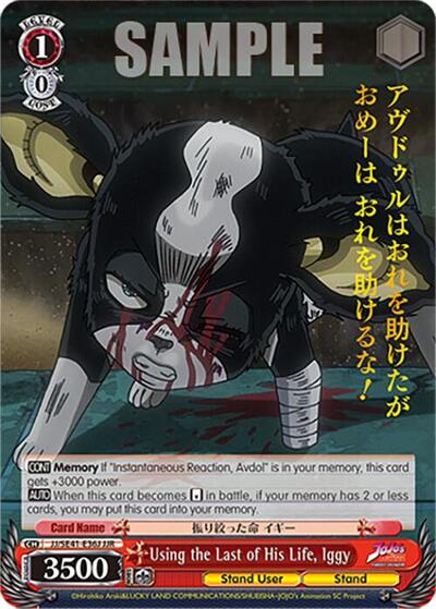 Using the Last of His Life, Iggy JJ/SE41-E36J JJR