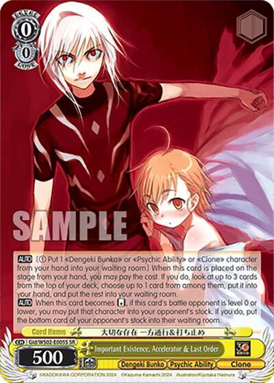 Important Existence, Accelerator & Last Order Gid/WS02-E005S SR