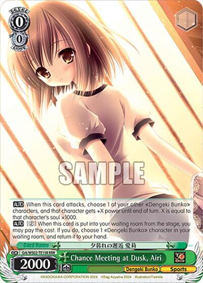 Chance Meeting at Dusk, Airi Grk/WS02-TE15R RRR