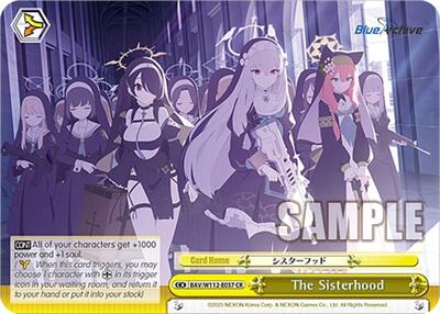 The Sisterhood BAV/W112-E037 CR