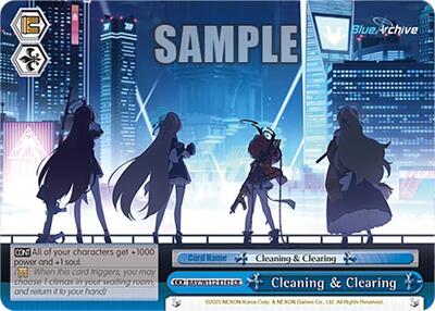 Cleaning & Clearing BAV/W112-E141 CR