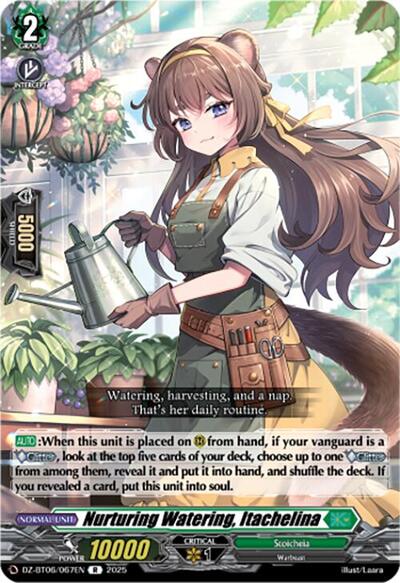 Nurturing Watering, Itachelina [D-Format] DZ-BT06/067EN