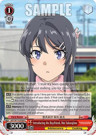 Introducing the Boyfriend, Mai Sakurajima SBY/W114-E069 C