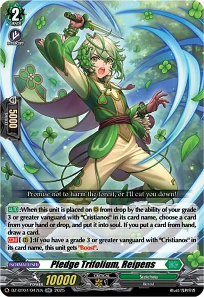 Pledge Trifolium, Reipens [D-Format] DZ-BT07/047EN