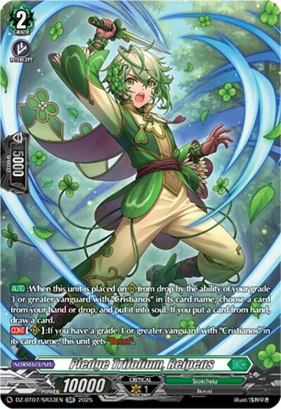 Pledge Trifolium, Reipens [D-Format] DZ-BT07/SR33EN