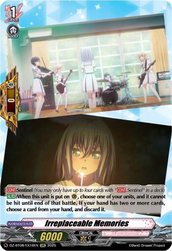 Irreplaceable Memories [D-Format] DZ-BT08/EX16EN