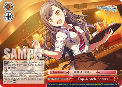 Top-Notch Server! PJS/S91-E077R RRR