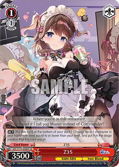 Z35 AZL/S119-E080S SR