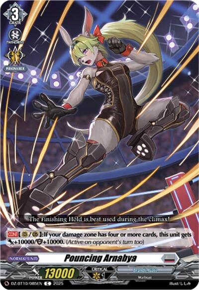 Pouncing Arnabya [D-Format] DZ-BT10/085EN