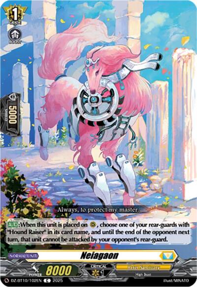 Neiagaon [D-Format] DZ-BT10/102EN