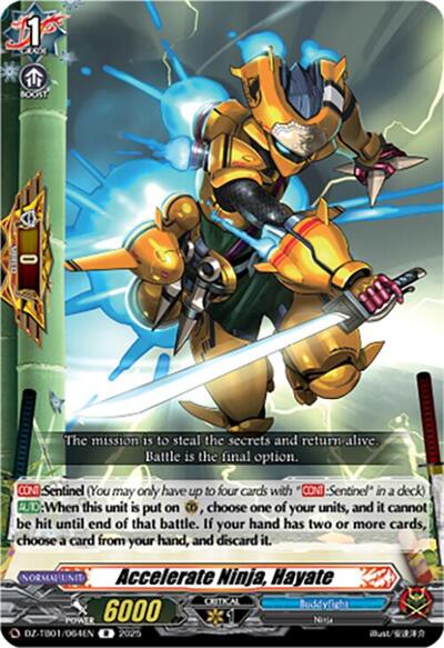 Accelerate Ninja, Hayate [D-Format] DZ-TB01/064EN
