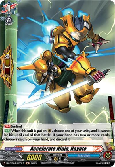 Accelerate Ninja, Hayate [D-Format] DZ-TB01/H53EN