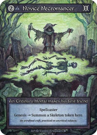 Novice Necromancer 