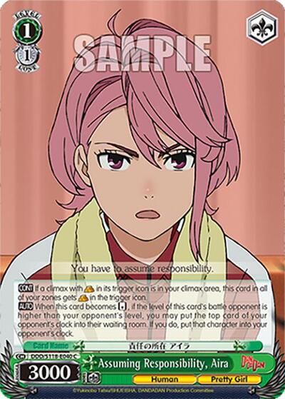 Assuming Responsibility, Aira DDD/S118-E040 C