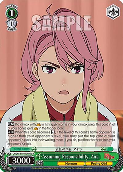 Assuming Responsibility, Aira DDD/S118-E040S SR