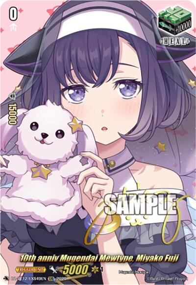 10th anniv Mugendai Mewtype, Miyako Fuji [D-Format] DZ-BT12/EXS49EN