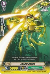 Shelter Beetle [G Format] EB01/032EN