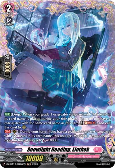 Snowlight Reading, Liothek [D-Format] DZ-BT13/FR46EN