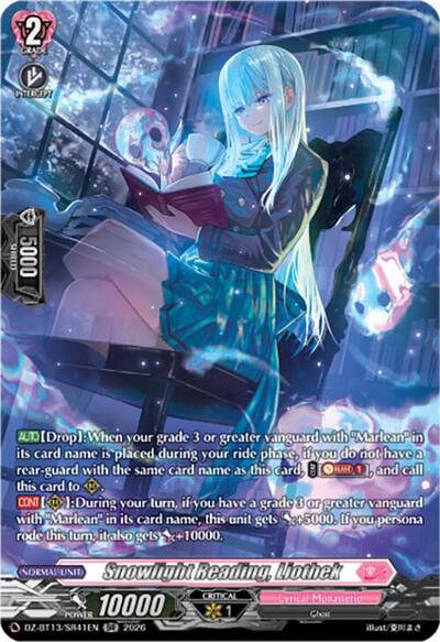 Snowlight Reading, Liothek [D-Format] DZ-BT13/SR41EN