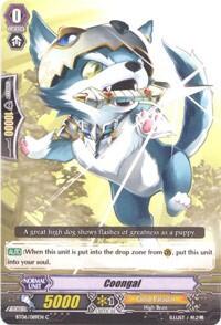 Coongal [G Format] BT06/089EN