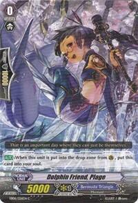 Dolphin Friend, Plage [G Format] EB06/026EN