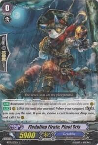 Fledgling Pirate, Pinot Gris [G Format] BT17/133EN