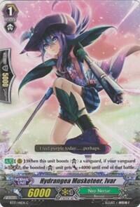 Hydrangea Musketeer, Ivar [G Format] BT17/141EN