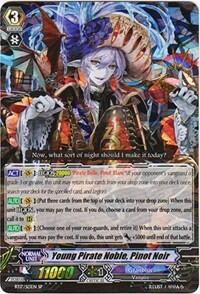 Young Pirate Noble, Pinot Noir [G Format] BT17/S13EN