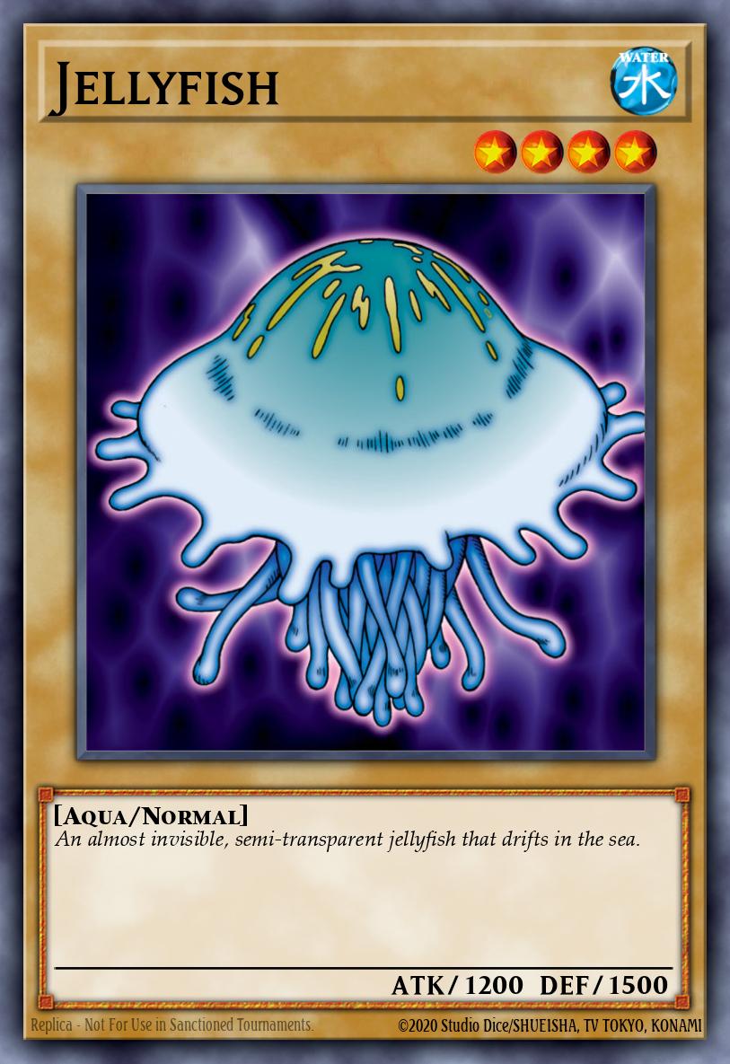 Jellyfish 