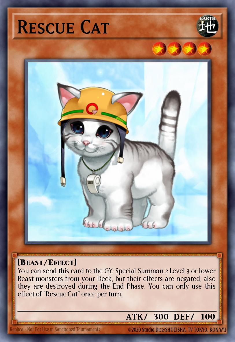 Rescue Cat TU01-EN008