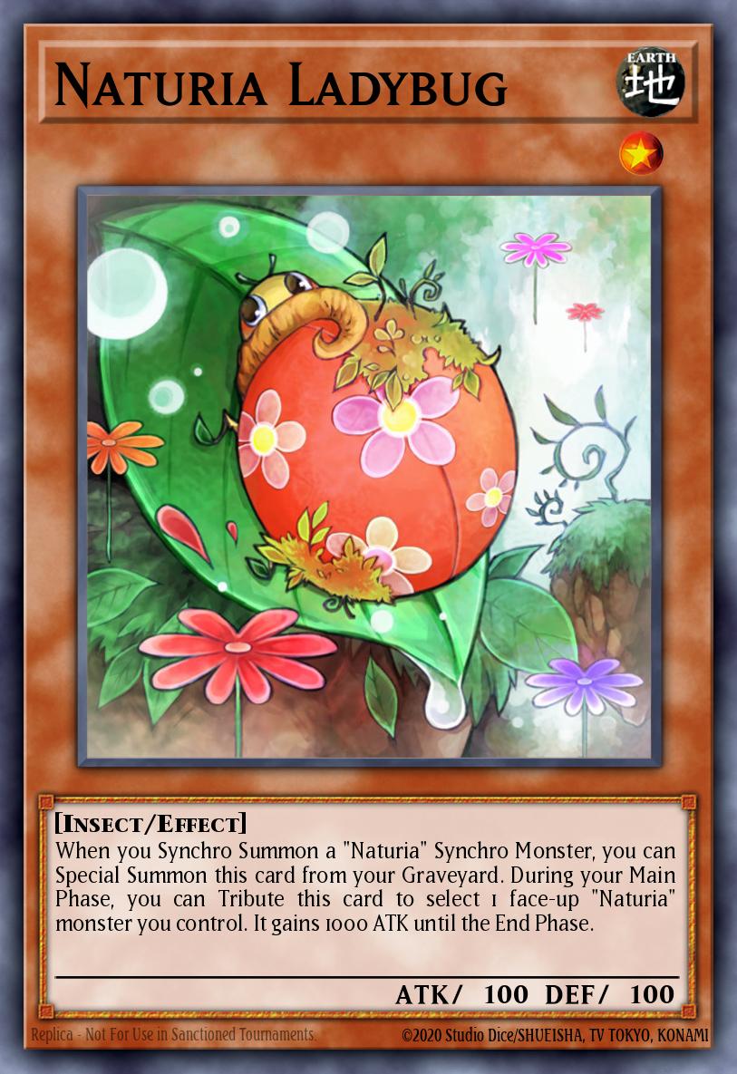 Naturia Ladybug HAC1-EN109