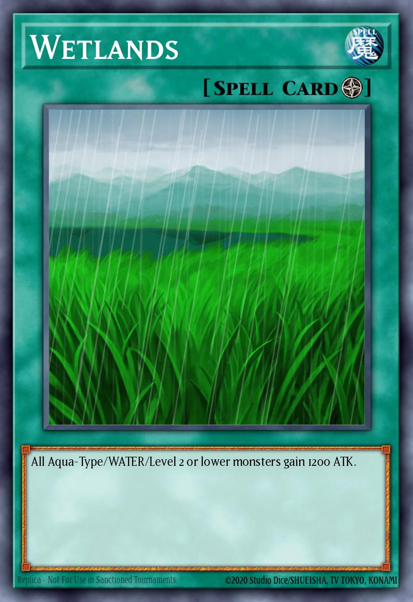 Wetlands 
