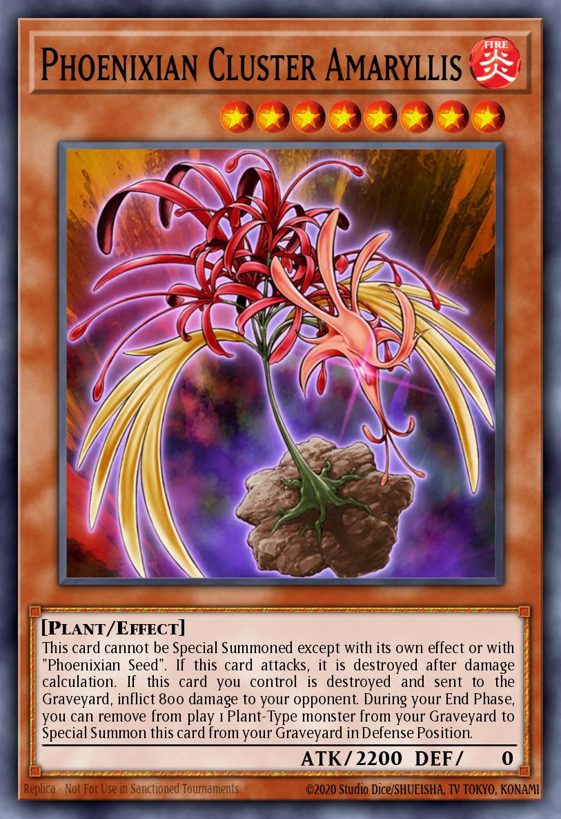 Phoenixian Cluster Amaryllis 