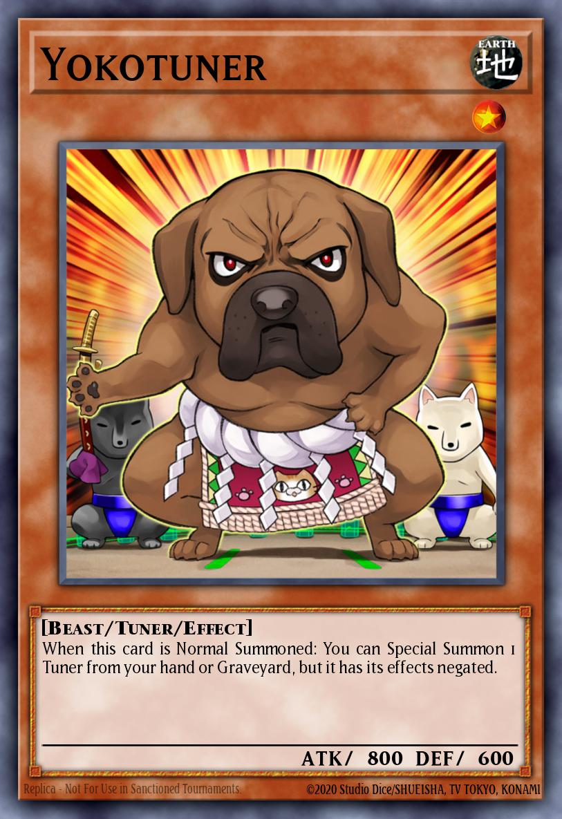 Yokotuner RATE-EN031