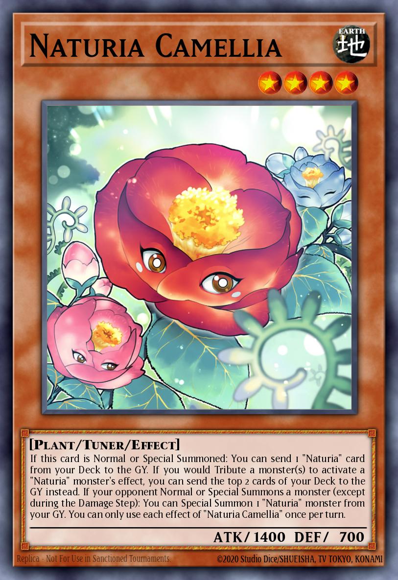 Naturia Camellia DABL-EN021
