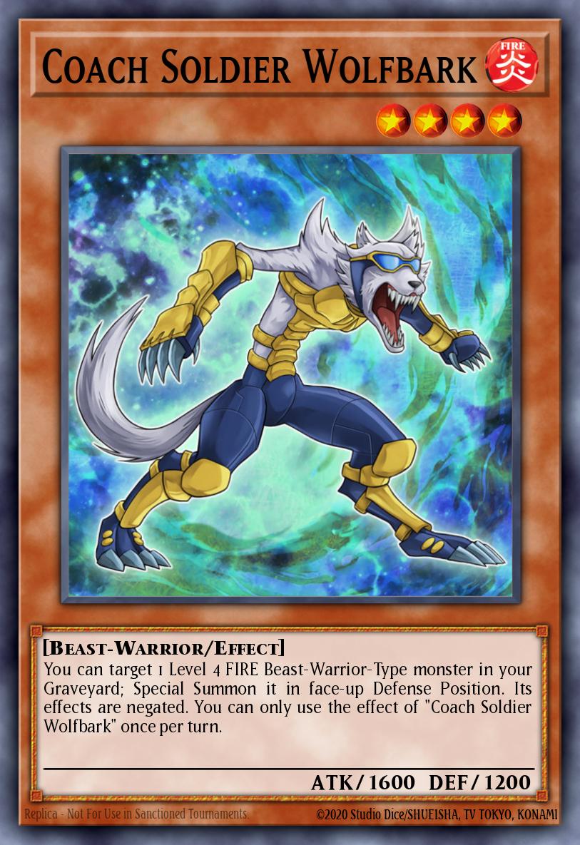 Coach Soldier Wolfbark MAGO-EN120