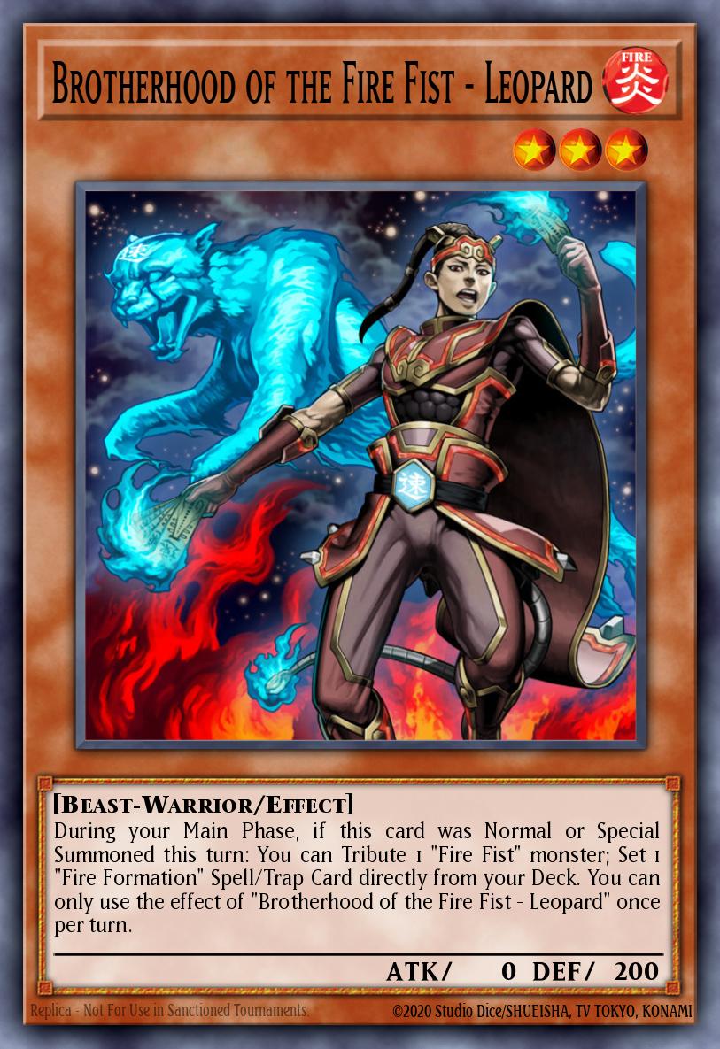 Brotherhood of the Fire Fist - Leopard MP14-EN013