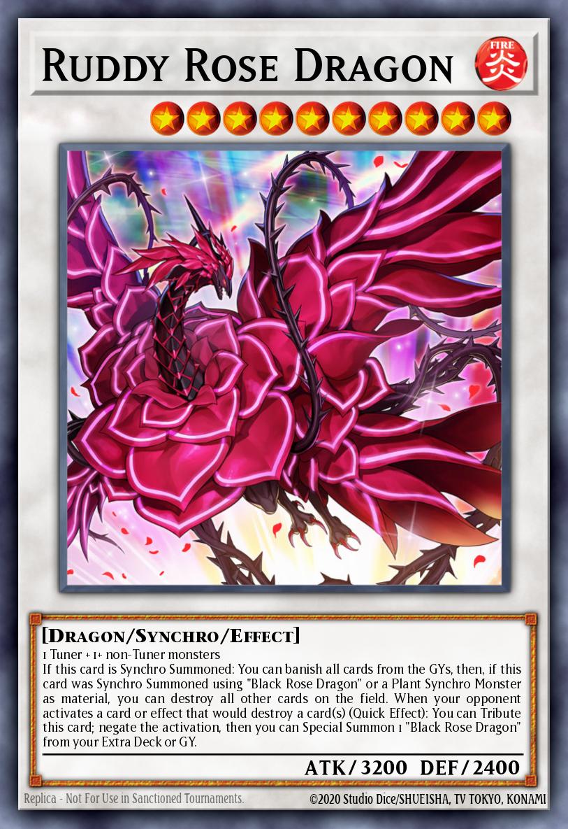 Ruddy Rose Dragon LIOV-EN035