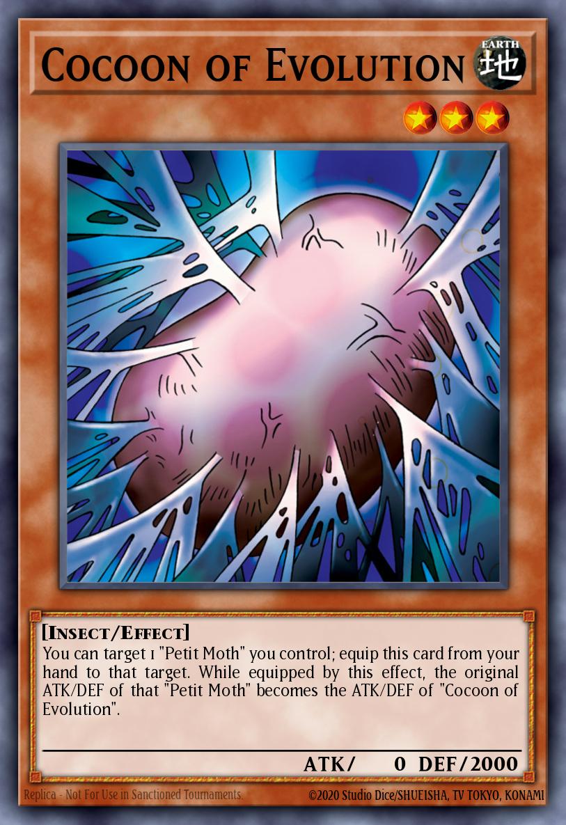 Cocoon of Evolution 