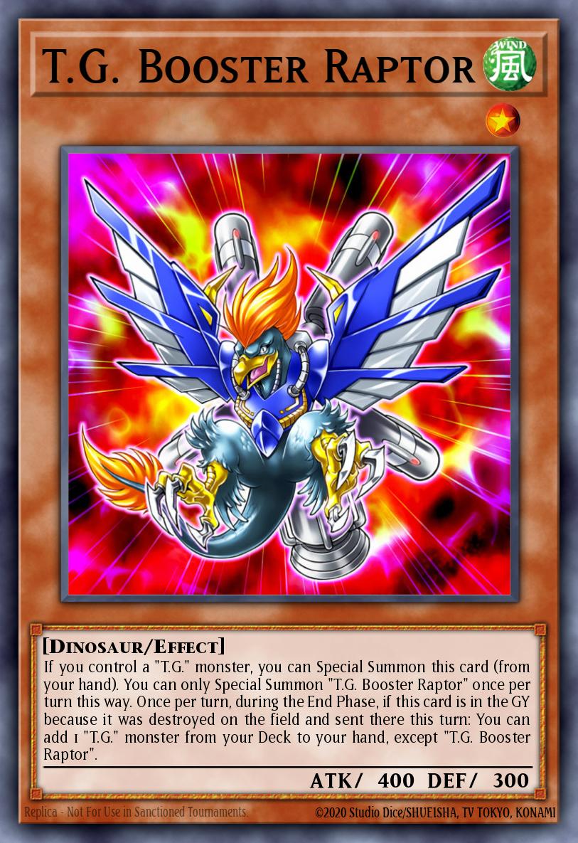 T.G. Booster Raptor SAST-EN010