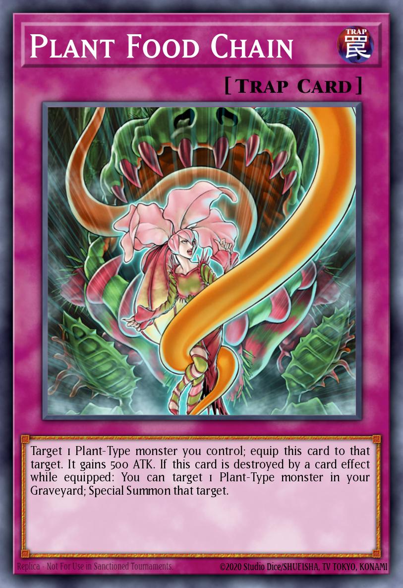Plant Food Chain 