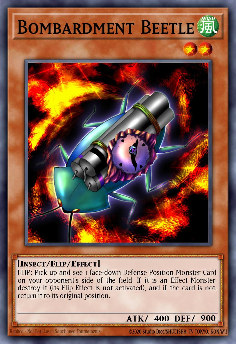 Bombardment Beetle 