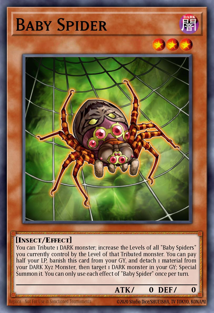 Baby Spider 