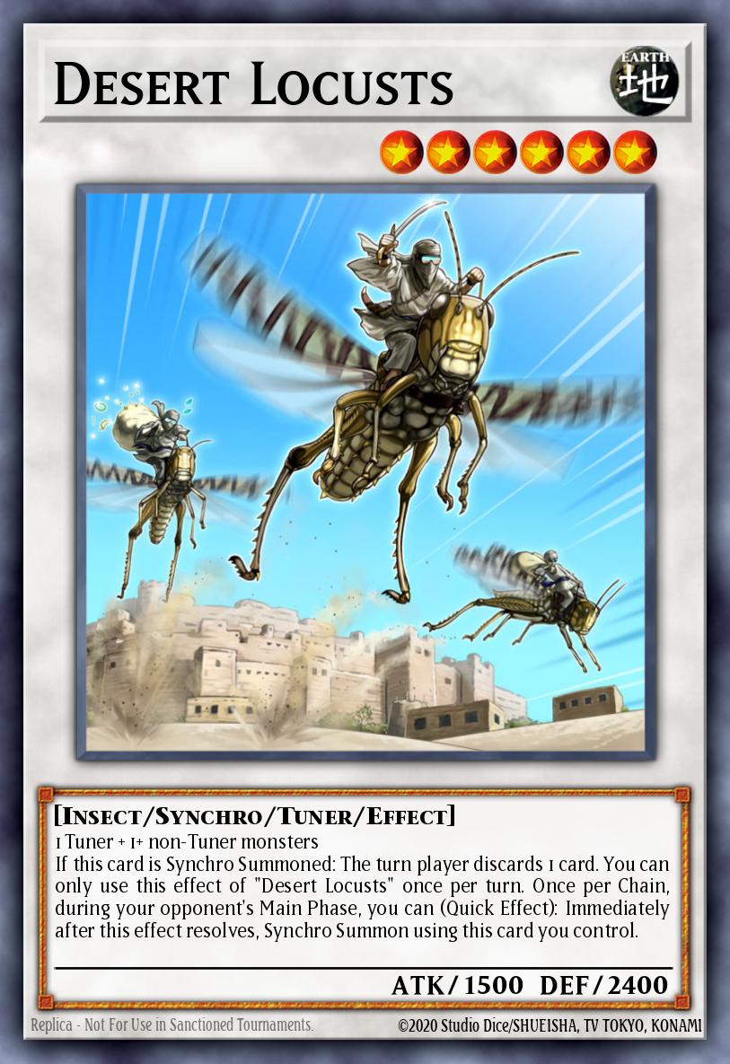 Desert Locusts CHIM-EN082