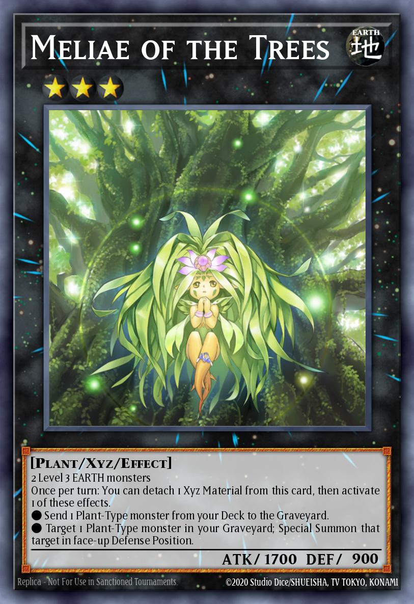 Meliae of the Trees SHSP-EN055
