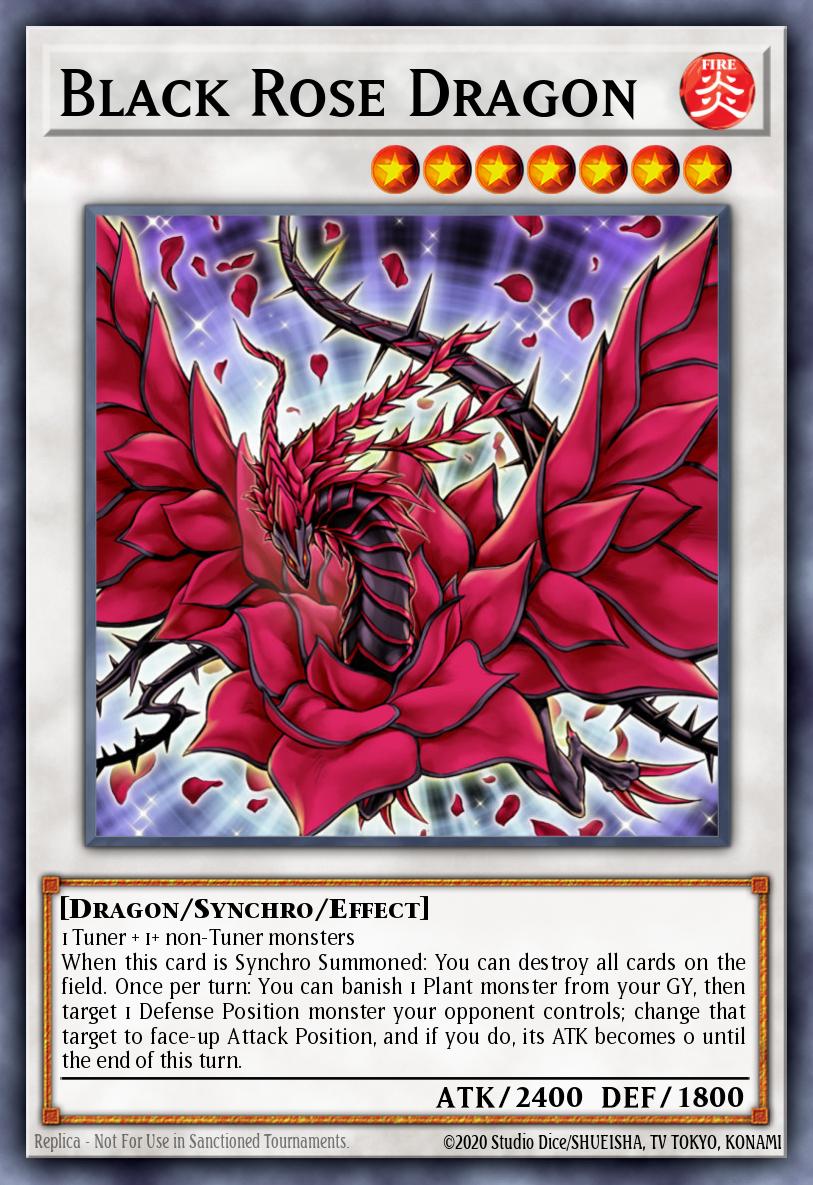 Black Rose Dragon DUDE-EN010