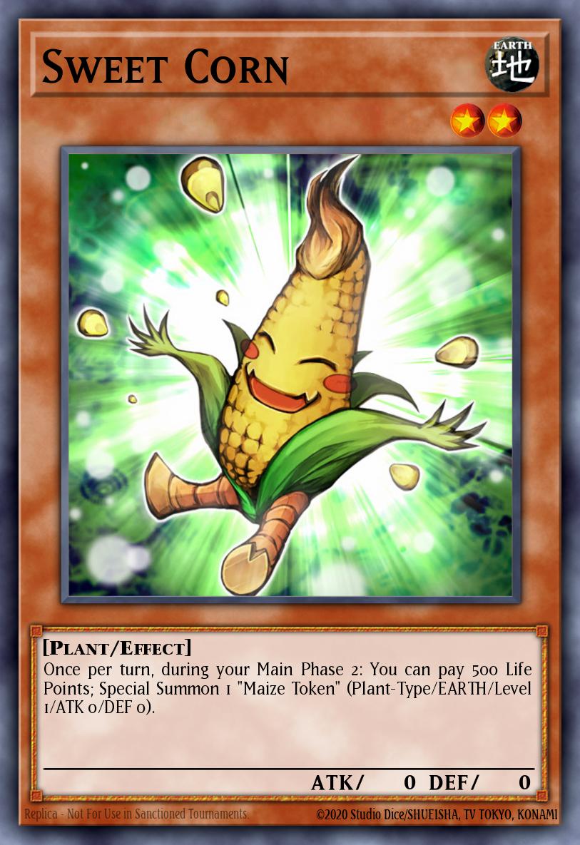 Sweet Corn 