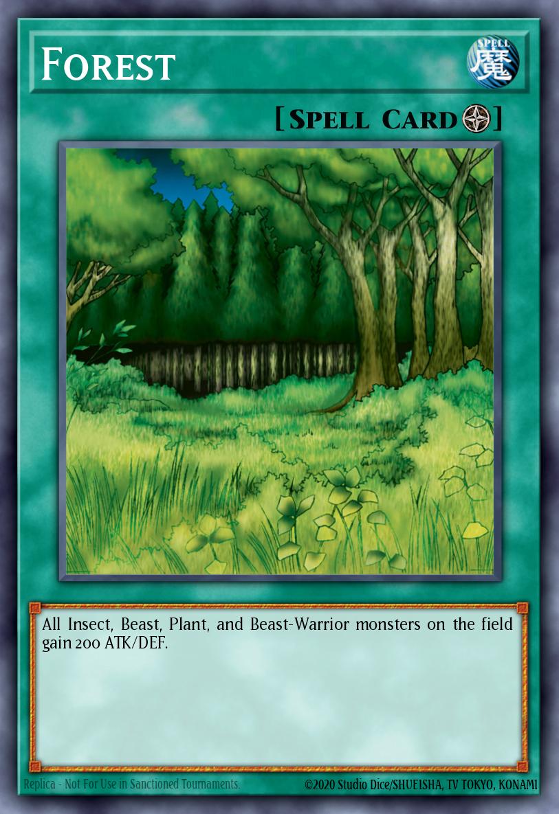 Forest 